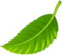 Decoración de hoja