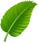 Decoración de hoja